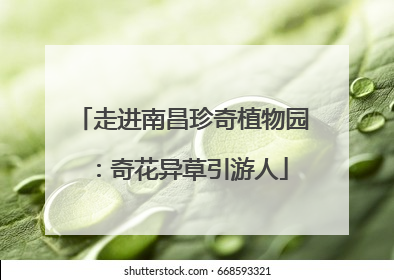 走进南昌珍奇植物园：奇花异草引游人