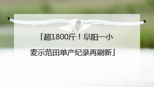 超1800斤！阜阳一小麦示范田单产纪录再刷新
