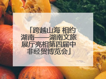 跨越山海 相约湖南——湖南文旅展厅亮相第四届中非经贸博览会