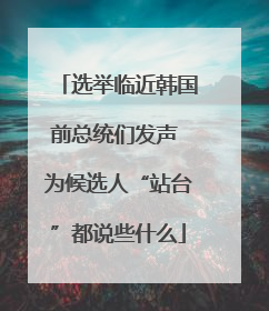 选举临近韩国前总统们发声 为候选人“站台”都说些什么