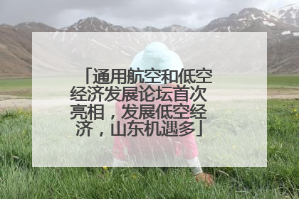 通用航空和低空经济发展论坛首次亮相，发展低空经济，山东机遇多