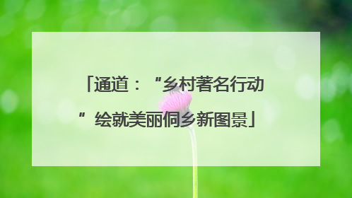 通道：“乡村著名行动”绘就美丽侗乡新图景