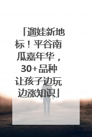遛娃新地标！平谷南瓜嘉年华，30+品种让孩子边玩边涨知识