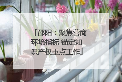 邵阳：聚焦营商环境指标 锚定知识产权重点工作