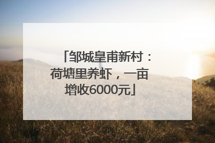 邹城皇甫新村：荷塘里养虾，一亩增收6000元