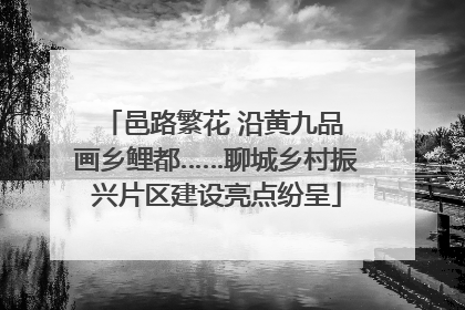 邑路繁花 沿黄九品 画乡鲤都……聊城乡村振兴片区建设亮点纷呈