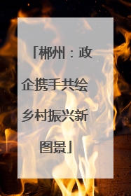 郴州：政企携手共绘乡村振兴新图景