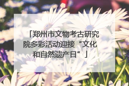 郑州市文物考古研究院多彩活动迎接“文化和自然遗产日”