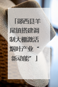 郧西县羊尾镇搭建调制大棚激活烟叶产业“新动能”