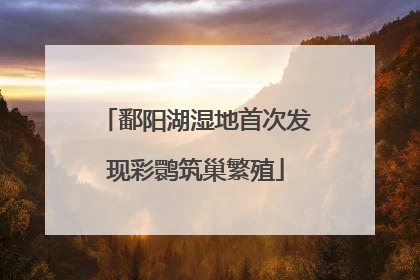 鄱阳湖湿地首次发现彩鹮筑巢繁殖