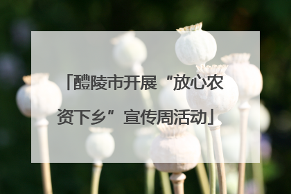 醴陵市开展“放心农资下乡”宣传周活动