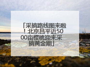 采摘路线图来啦！北京昌平近5000亩樱桃迎来采摘黄金期