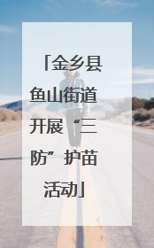金乡县鱼山街道开展“三防”护苗活动