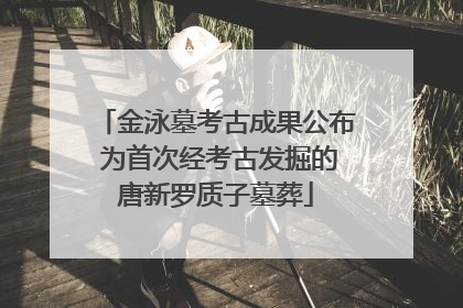 金泳墓考古成果公布 为首次经考古发掘的唐新罗质子墓葬