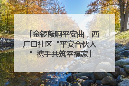金锣敲响平安曲，西厂口社区“平安合伙人”携手共筑幸福家