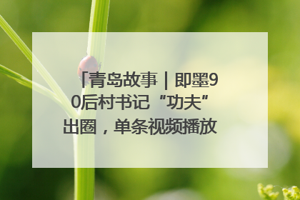 青岛故事｜即墨90后村书记“功夫”出圈，单条视频播放量过600万