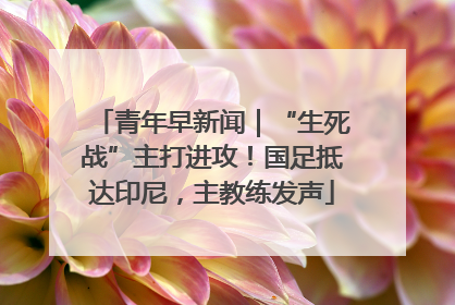 青年早新闻｜“生死战”主打进攻！国足抵达印尼，主教练发声