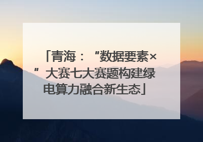 青海：“数据要素×”大赛七大赛题构建绿电算力融合新生态