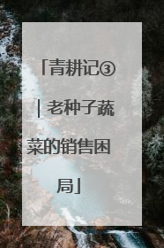 青耕记③｜老种子蔬菜的销售困局