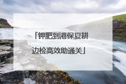 钾肥到港保夏耕 边检高效助通关