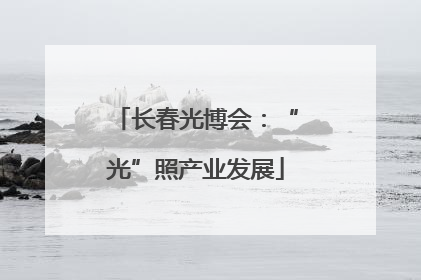 长春光博会：“光”照产业发展