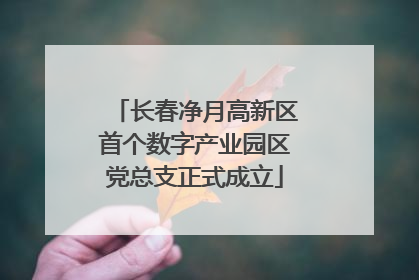 长春净月高新区首个数字产业园区党总支正式成立