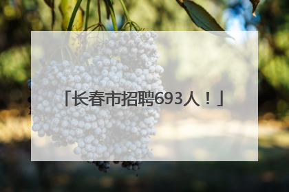 长春市招聘693人！