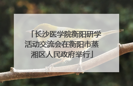 长沙医学院衡阳研学活动交流会在衡阳市蒸湘区人民政府举行