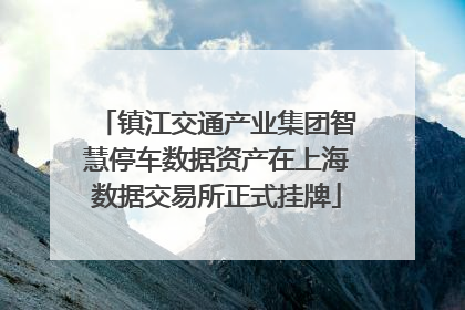 镇江交通产业集团智慧停车数据资产在上海数据交易所正式挂牌