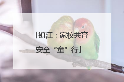 镇江：家校共育 安全“童”行