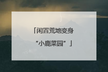 闲置荒地变身“小鹿菜园”