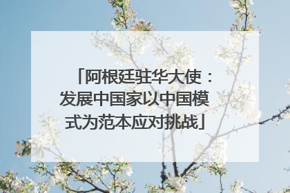 阿根廷驻华大使：发展中国家以中国模式为范本应对挑战