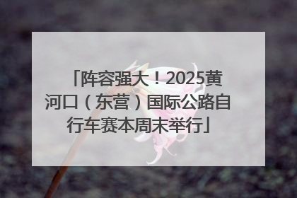阵容强大！2025黄河口（东营）国际公路自行车赛本周末举行