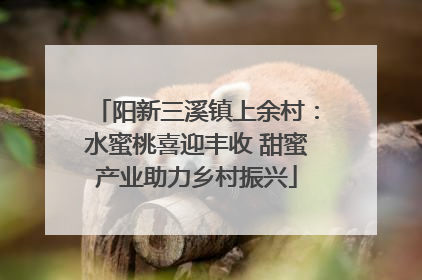 阳新三溪镇上余村：水蜜桃喜迎丰收 甜蜜产业助力乡村振兴