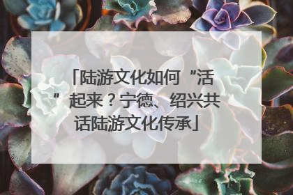 陆游文化如何“活 ”起来？宁德、绍兴共话陆游文化传承