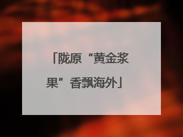 陇原“黄金浆果”香飘海外