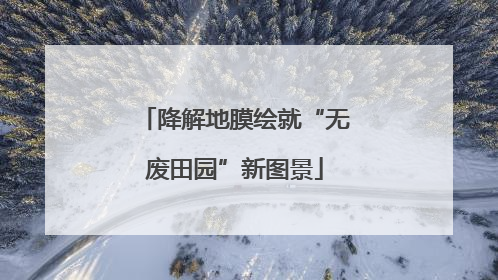 降解地膜绘就“无废田园”新图景