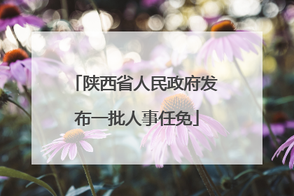 陕西省人民政府发布一批人事任免