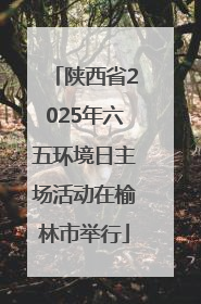 陕西省2025年六五环境日主场活动在榆林市举行
