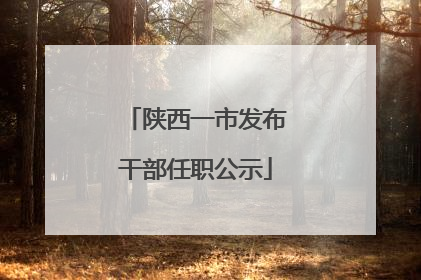 陕西一市发布干部任职公示