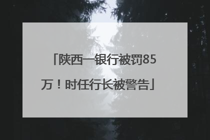 陕西一银行被罚85万！时任行长被警告