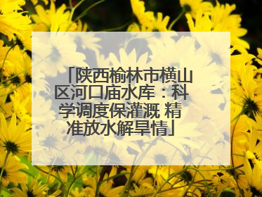 陕西榆林市横山区河口庙水库：科学调度保灌溉 精准放水解旱情