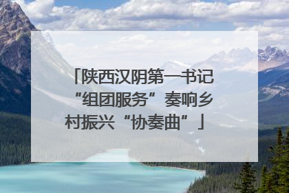 陕西汉阴第一书记“组团服务”奏响乡村振兴“协奏曲”