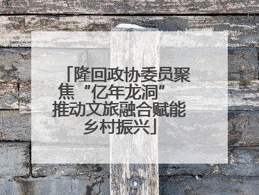 隆回政协委员聚焦“亿年龙洞” 推动文旅融合赋能乡村振兴
