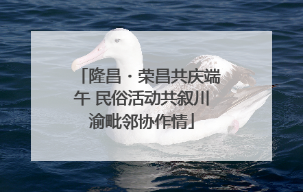隆昌・荣昌共庆端午 民俗活动共叙川渝毗邻协作情