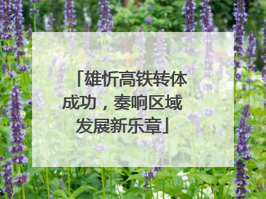 雄忻高铁转体成功，奏响区域发展新乐章