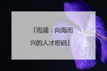 霞浦：向海而兴的人才密码