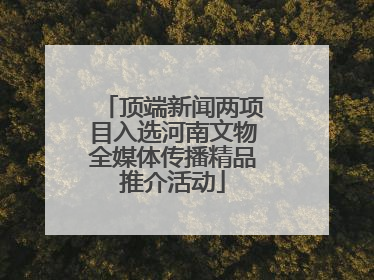 顶端新闻两项目入选河南文物全媒体传播精品推介活动