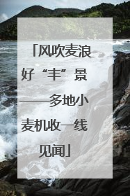 风吹麦浪好“丰”景——多地小麦机收一线见闻