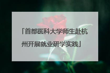 首都医科大学师生赴杭州开展就业研学实践